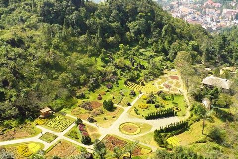 Sapa: "Dragon Jaw Mountain" Panorama Experience