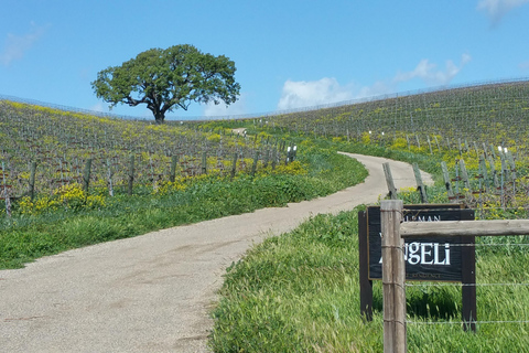 Santa Barbara : Visite de la région viticole en E-Bike avec dégustations et déjeuner