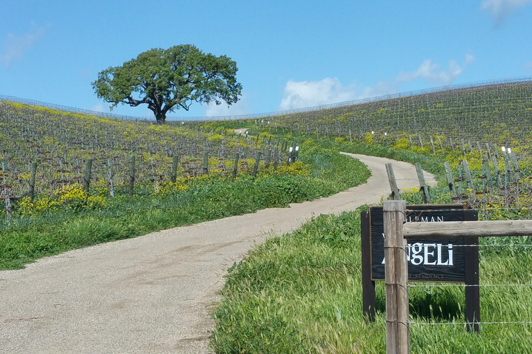 Santa Barbara: E-Bike Wine Country Tour w/ Tastings & Lunch