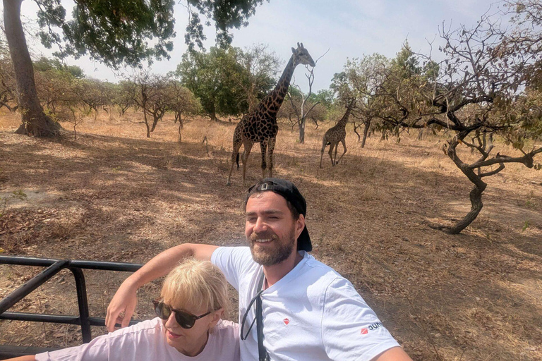 From Banjul: Discover the Fathala Wildlife Reserve From Senegal : Discover the Fathala Wildlife Reserve