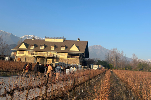 Aylan Family Wines | The Sunset Tour