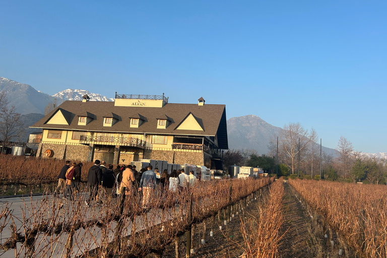 Aylan Family Wines | The Sunset Tour