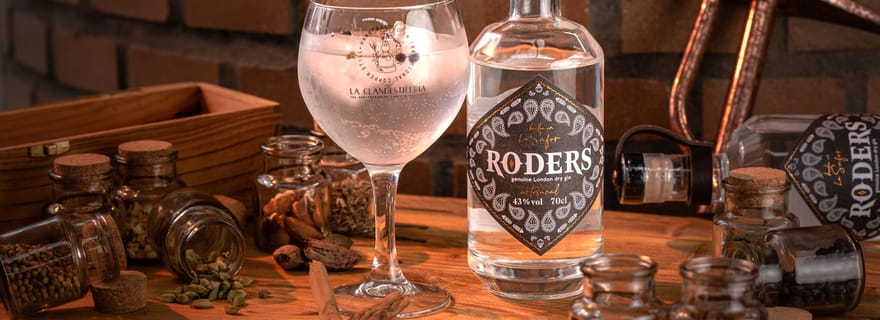 Valence : Visite d'une distillerie et dégustation de gin à Benifla