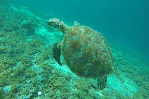 Private Snorkeling Tour GoPro Footage Costumize Tour Snorkeling Gili Trawangan, Gili Meno and Gili Air with GoPro