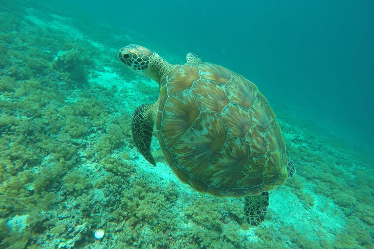 Private Snorkeling Tour GoPro Footage Costumize Tour Snorkeling Gili Trawangan, Gili Meno and Gili Air with GoPro