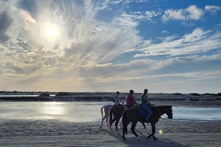 Djerba: Ride to the Pink Flamingo Peninsula by Electric Bike