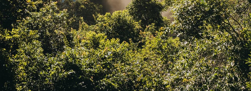 Sud de l'île Maurice : Journée privée avec déjeuner et Chamarel