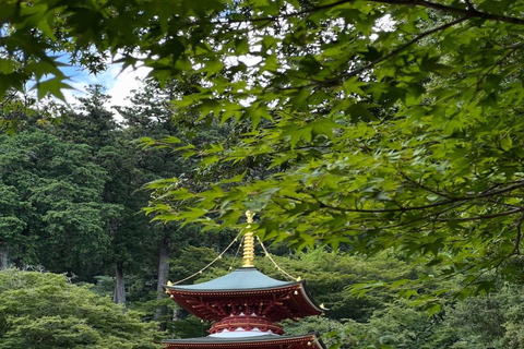 From Osaka: Hiroshima & Miyajima Private Day Trip