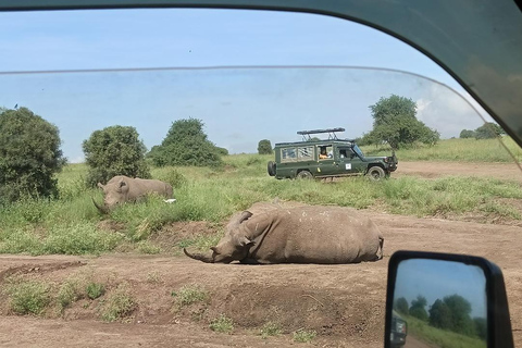 Nairobi: National Park Half-Day Safari with Hotel Pick-Up