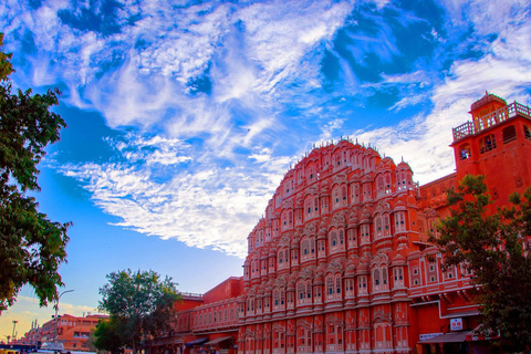 Jaipur: Geführte Tour mit Amber Fort und Affentempel