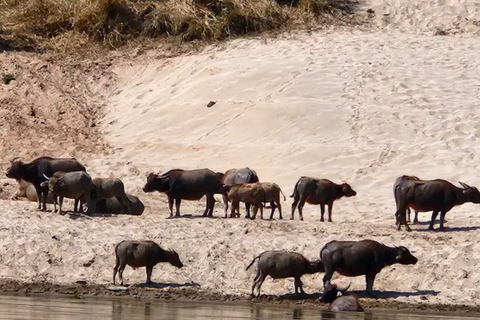 Huay Xai: One-Day Mekong Cruise to Luang Prabang & Caves
