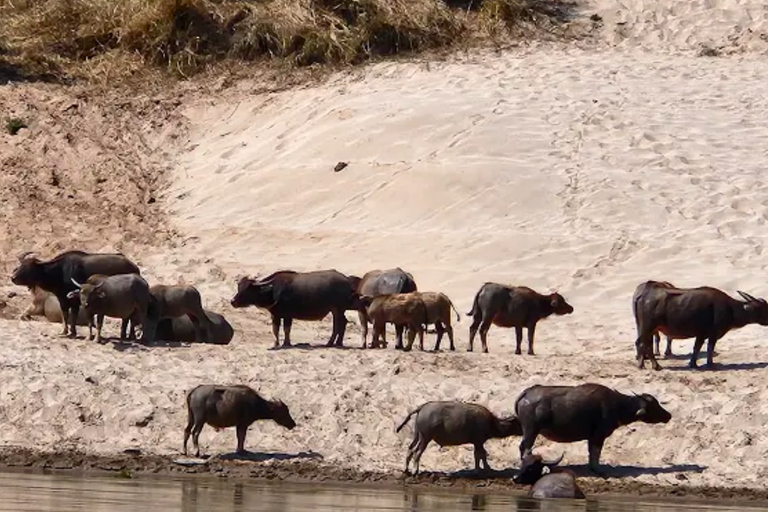 Huay Xai: One-Day Mekong Cruise to Luang Prabang & Caves