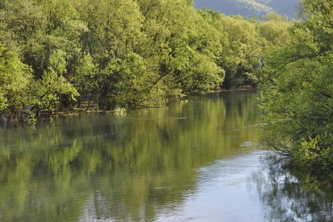 Sarajevo: Stojčevac, Vrelo Bosne, & Roman Bridge Tour
