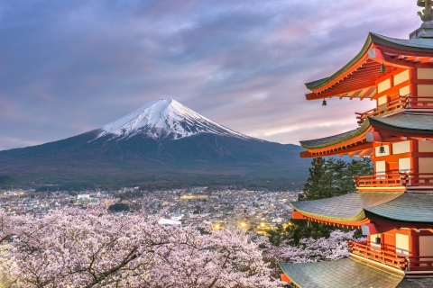 Visita Turística Privada de Día Completo al Monte Fuji y HakoneVisita turística privada de 1 día al Monte Fuji desde Tokio