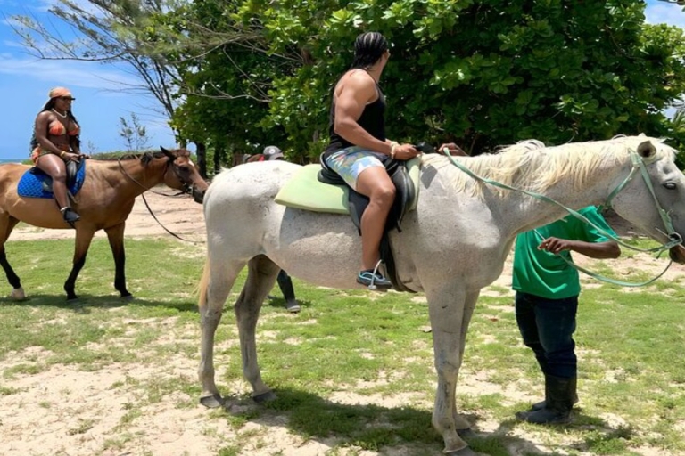 Paseo a caballo privado y baño en Montego Bay