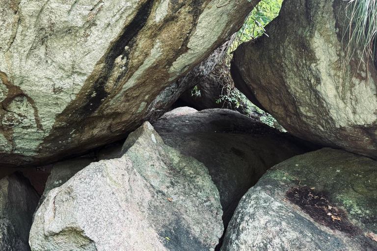 From Colombo: Gampaha District Temples & Jungle Hike Tour