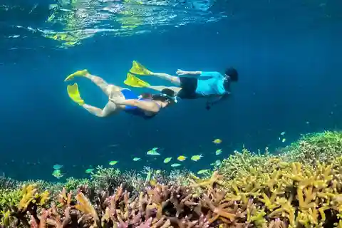 Hidden Gili's Lombok Snorkeling Daily Tour