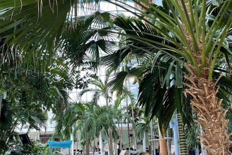 Bucharest: Transfer to Therme+Full EntryTicket 12h