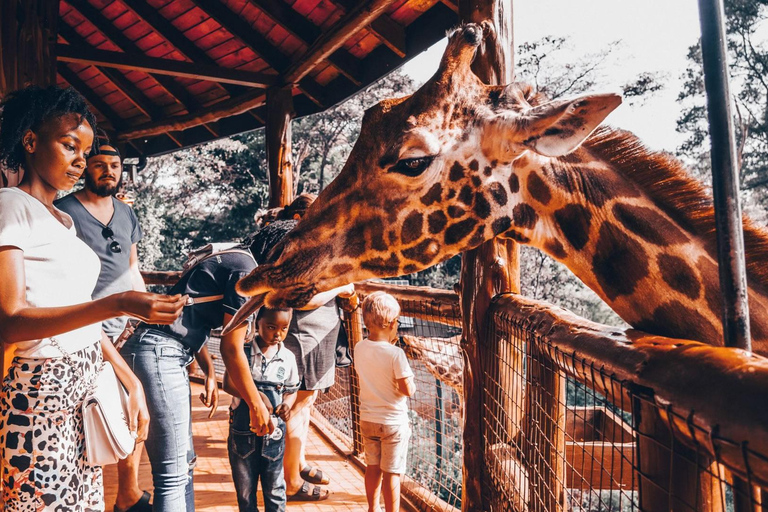 Nairobi: Giraffe Center Tour with Optional Bead Factory