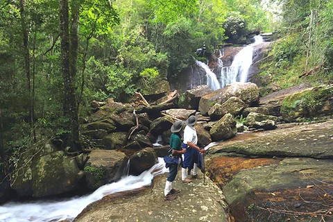 Sinharaja Rain Forest UNESCO Walk and Bird Watching Day Tour