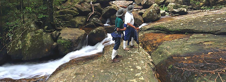 Visite à pied de la forêt tropicale de Sinharaja et observation des oiseaux par l'UNESCO