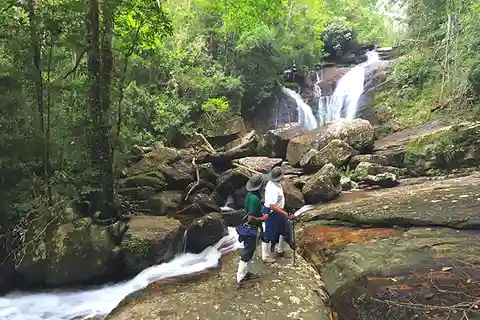 Visite à pied de la forêt tropicale de Sinharaja et observation des oiseaux par l'UNESCO