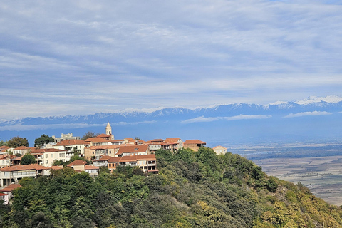 From Tbilisi: Kakheti Wine Journey with Sighnaghi and Telavi