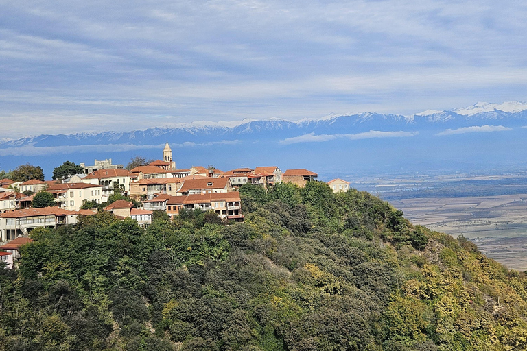 From Tbilisi: Kakheti Wine Journey with Sighnaghi and Telavi