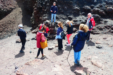 Catania: Guided Tour of Etna with Farm Visit & Wine Tasting Guided excursion on Etna from Catania with typical tasting