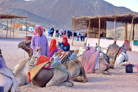 Hurghada: Mega Safari, ATV, 4x4WD Jeep, Camel w/ BBQ & Show Mega Safari (Group Tour)
