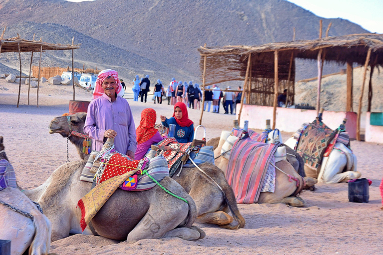 Hurghada: Mega Safari, ATV, 4x4WD Jeep, Camel w/ BBQ & Show Mega Safari (Group Tour)