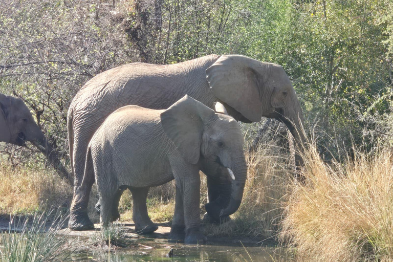 From Maputo: Kruger Safari and Island Escape 4-Day Tour