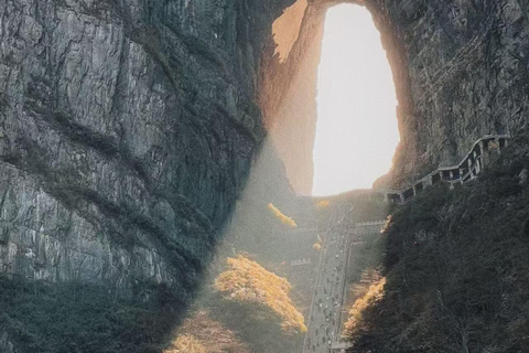 One-day Tour :Night View of Tianmen+ Avatar-like Peak Forest
