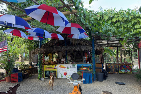 Puerto Plata: El Gallo Ecolodge Day Pass with Lunch