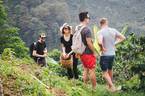 Kilimandscharo: Materuni-Wasserfälle & Kaffeetour mit LunchWasserfälle und Kaffeetour mit Abholung in Arusha