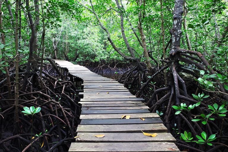 Zanzibar: Jozani Forest och Rock Restaurant TourZanzibar: Jozani-skogen och Rock Restaurant-tur