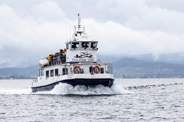 Inverness: Wildlife Watching Cruise to Chanonry Point