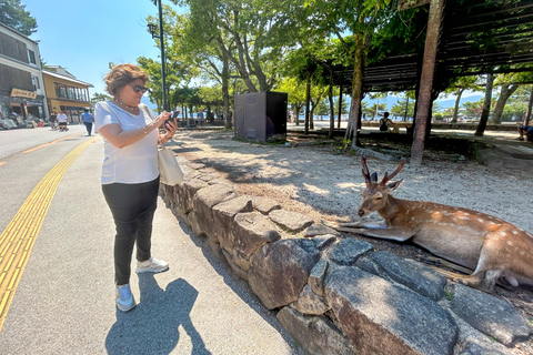 Prywatna wycieczka do Hiroszimy, Miyajimy i Kopuły Bomby AtomowejHiroszima Miyajima i kopuła bomby - prywatna wycieczka
