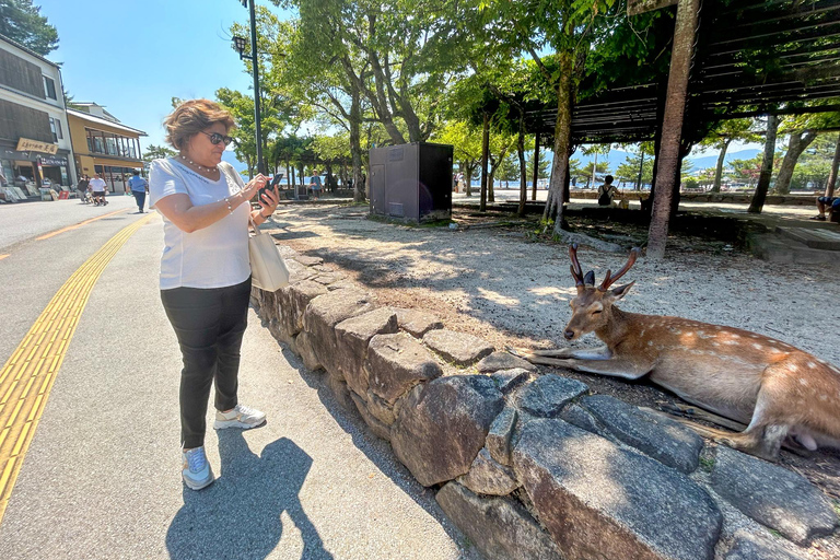 Prywatna wycieczka do Hiroszimy, Miyajimy i Kopuły Bomby AtomowejHiroszima Miyajima i kopuła bomby - prywatna wycieczka