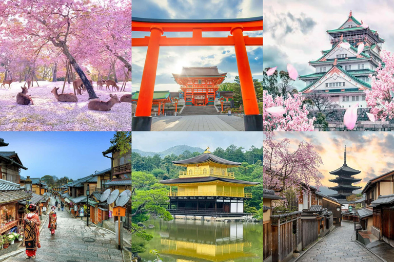 Quioto/Nara/Osaka: Excursão personalizada com pontos turísticos e serviço de busca no hotelKYOTO &amp; Nara: Excursão personalizada com serviço de busca no hotel