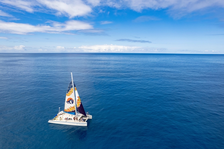 Oahu: Eco-Friendly West Oahu Snorkel Zeil met dolfijnenSnorkeltour met ontmoetingspunt