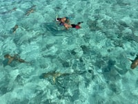 Bora Bora, safari Lagoon Full Day & Lunch on a Motu - St - Housity