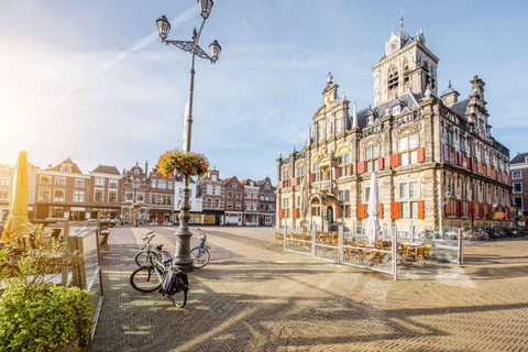 Tour privato di Rotterdam, L&#039;Aia e Delft da Amsterdam in auto