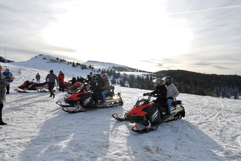 Sneeuwscooter, ATV of Buggy tour vanuit BoekarestSneeuwscooter Privé