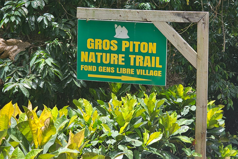 Saint Lucia: Piton Hike