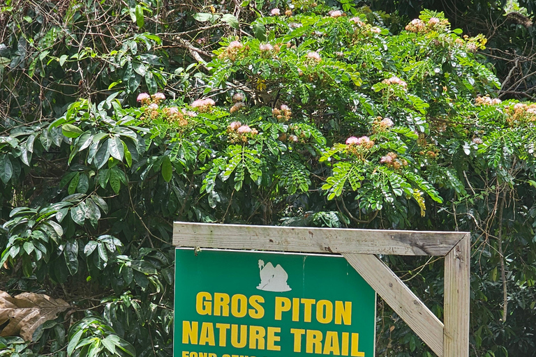 Saint Lucia: Piton Hike