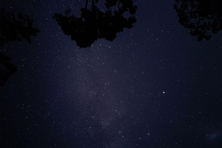 Paraty Mirim Kayak Tour: Calm Waters & Untouched Nature