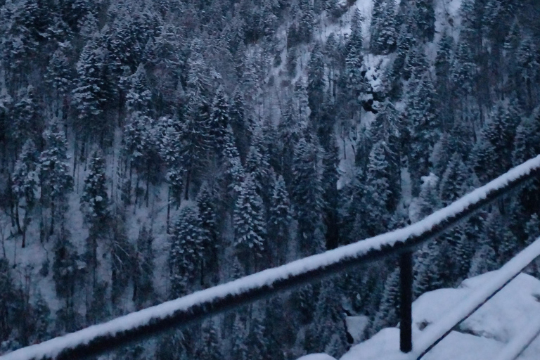 博罗韦茨徒步和雪橇之旅，参观比斯特里察皇家宫殿博罗维茨徒步和雪橇之旅，参观比斯特里察皇家宫殿