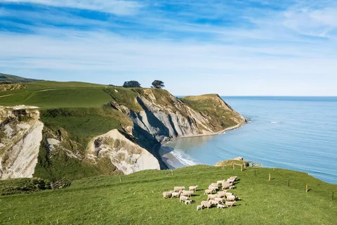 Christchurch: Exclusive Sheep Farm Tour with Lunch &Winery