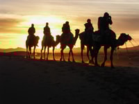 Van Marrakech 3-daagse Sahara Tour naar Merzouga met/ accommodatie - Housity